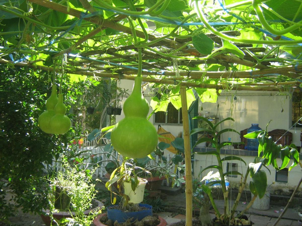 Coco Happy Farm Villa Ben Tre Bagian luar foto