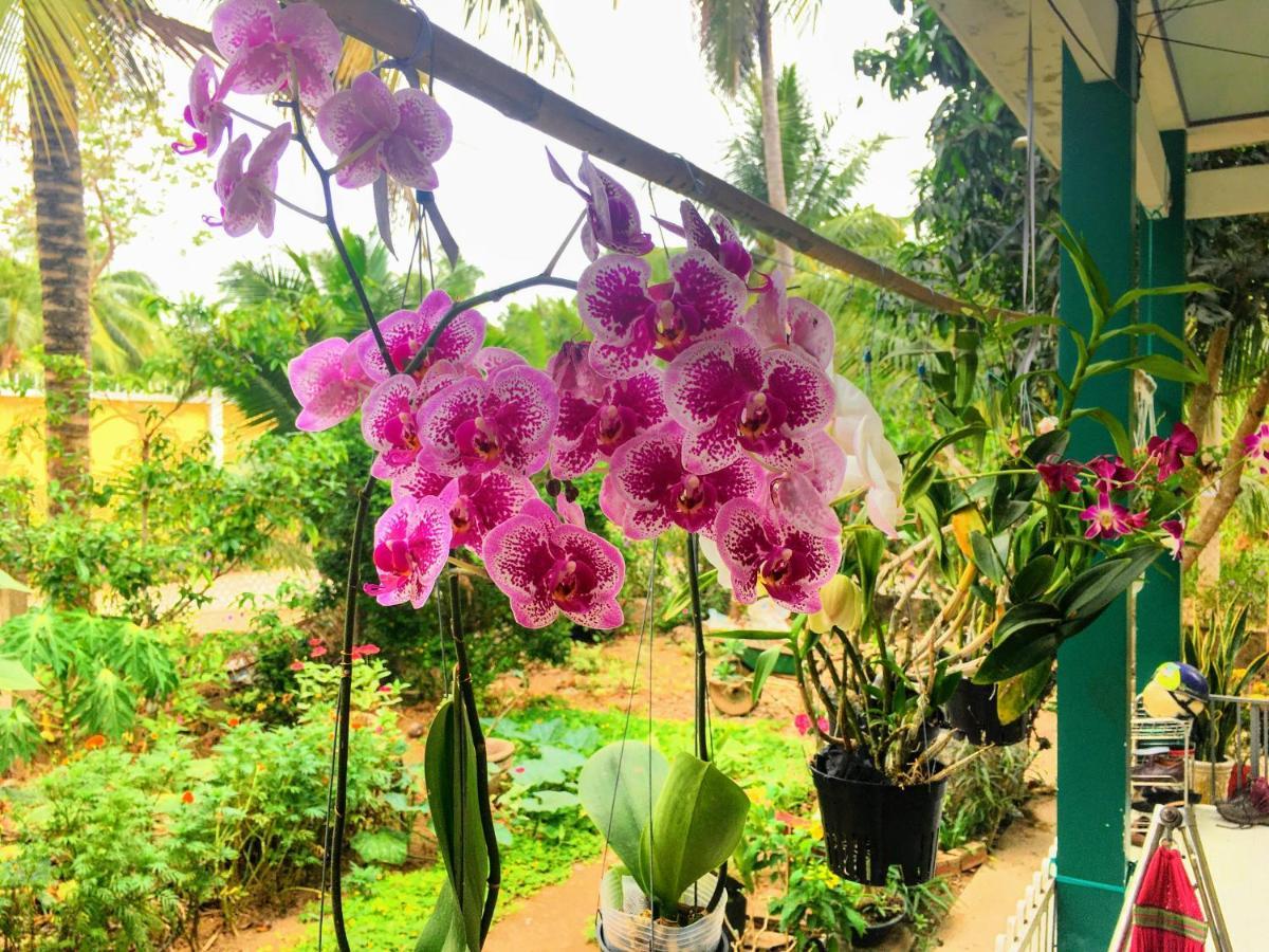 Coco Happy Farm Villa Ben Tre Bagian luar foto