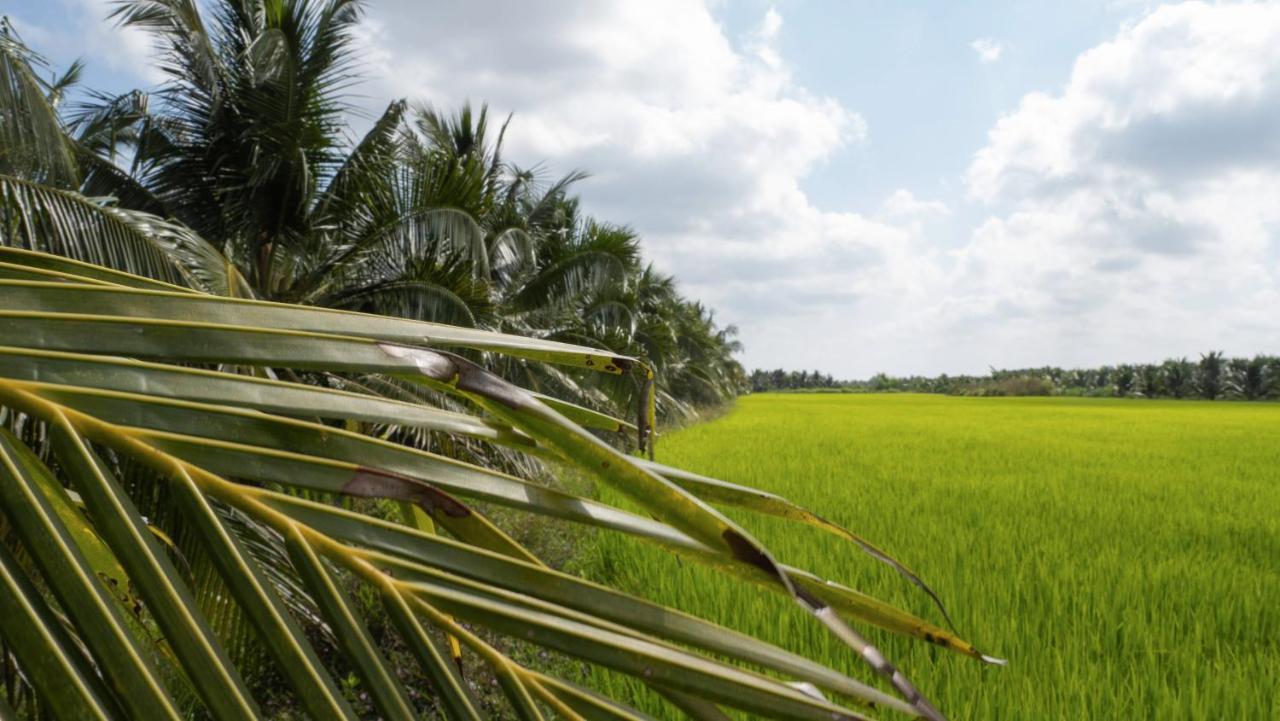 Coco Happy Farm Villa Ben Tre Bagian luar foto