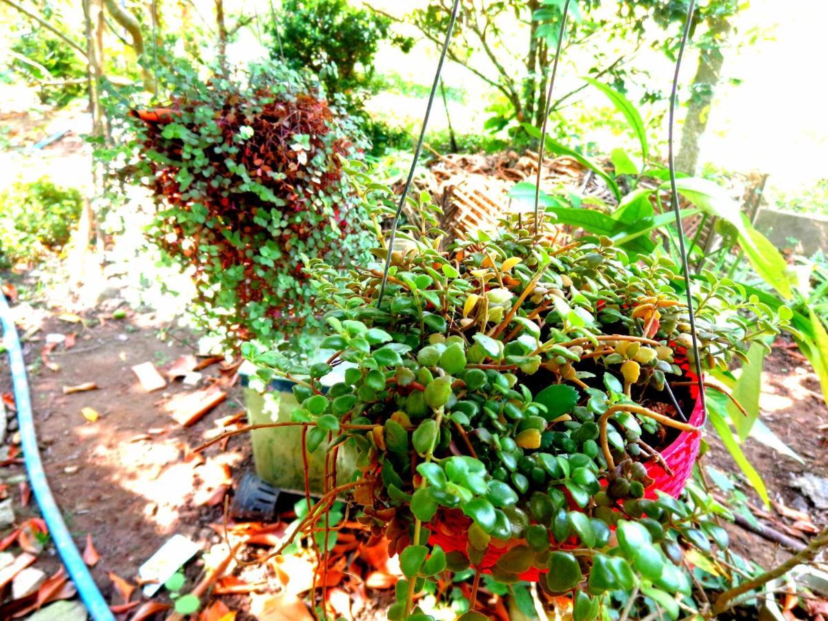 Coco Happy Farm Villa Ben Tre Bagian luar foto