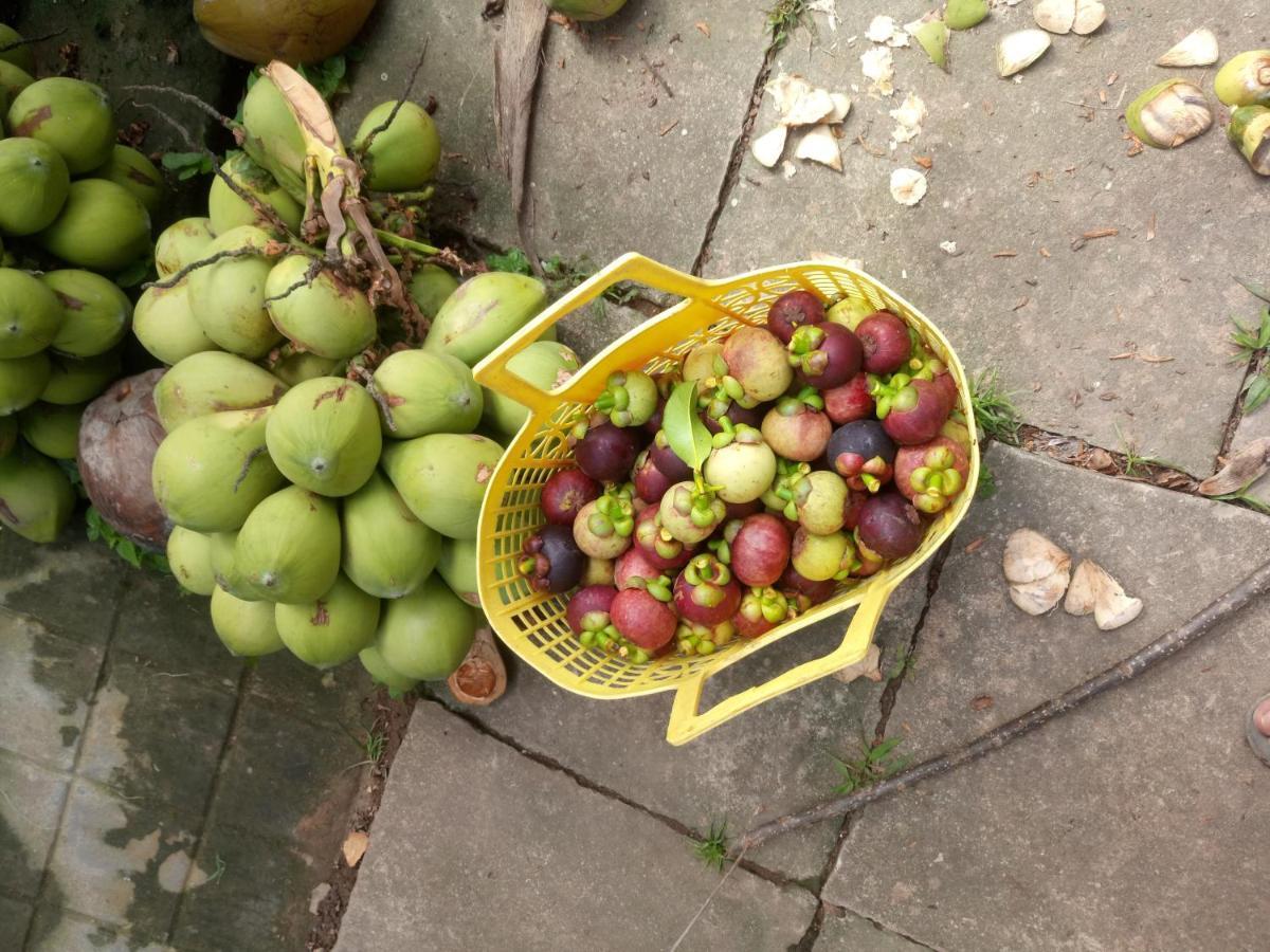Coco Happy Farm Villa Ben Tre Bagian luar foto