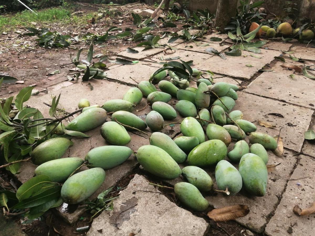 Coco Happy Farm Villa Ben Tre Bagian luar foto